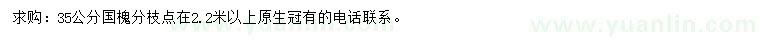求購(gòu)35公分國(guó)槐