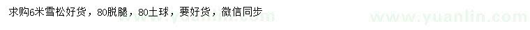 求購6米雪松