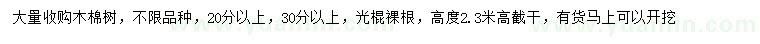 求購20、30公分以上木棉樹