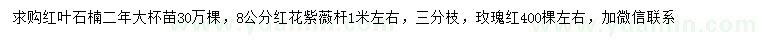 求購(gòu)二年生紅葉石楠、8公分紅花紫薇