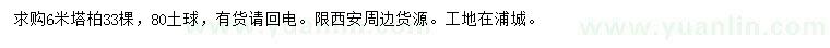 求購6米塔柏