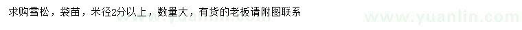 求購米徑2公分以上雪松