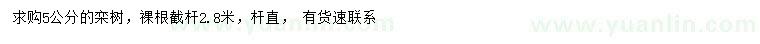 求購(gòu)5公分欒樹(shù)