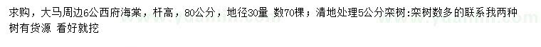 求購(gòu)30量6公西府海棠、5公分欒樹