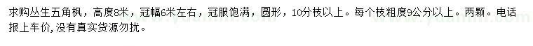 求購高8米叢生五角楓