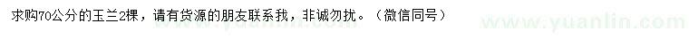 求購70公分玉蘭