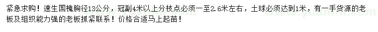 求購胸徑13公分速生國槐