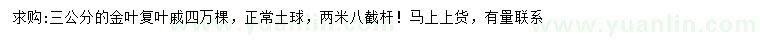 求購3公分金葉復(fù)葉槭