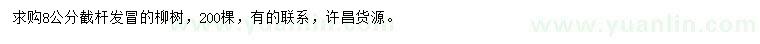 求購(gòu)8公分截桿柳樹(shù)