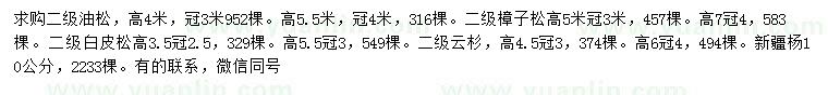 求購油松、樟子松、白皮松等