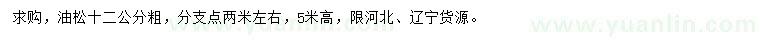 求購12公分油松