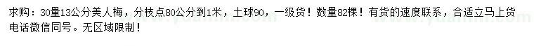 求購30量13公分美人梅