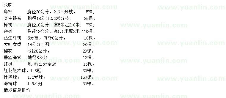 求購(gòu)烏桕、銀杏、櫸樹(shù)
