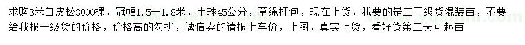 求購3米白皮松