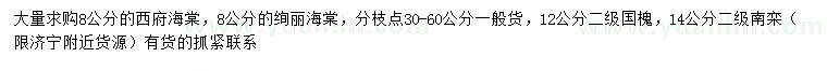 求購西府海棠、絢麗海棠、國槐等