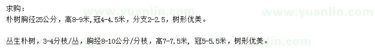 求購胸徑25公分樸樹
