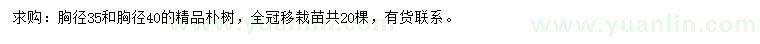 求購胸徑35、40樸樹