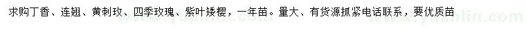 求購丁香、連翹、黃刺玫等