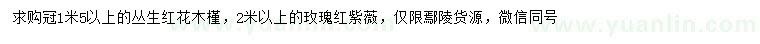 求購冠幅1.5米以上叢生紅花木槿、2米以上玫瑰紅紫薇