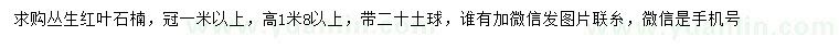 求購(gòu)高1.8米以上叢生紅葉石楠