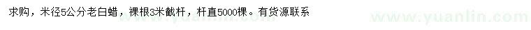 求購米徑5公分老白蠟