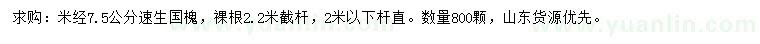 求購米經(jīng)7.5公分速生國槐