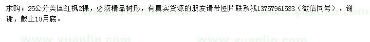 求購25公分美國紅楓