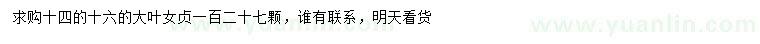 求購14、16公分大葉女貞