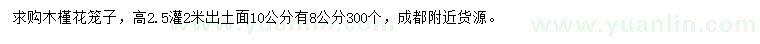 求購10量8公分木槿