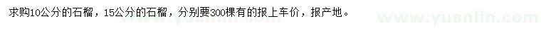 求購(gòu)10、15公分石榴