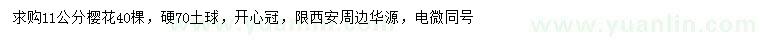求購11公分櫻花