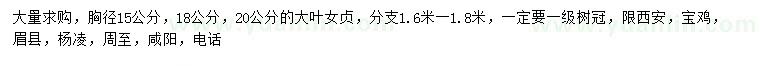 求購(gòu)胸徑15、18、20公分大葉女貞