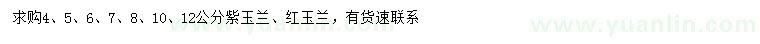 求購(gòu)4、5、6、7、8、10、12公分紫玉蘭、紅玉蘭