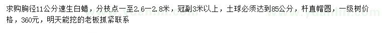 求購胸徑11公分速生白蠟