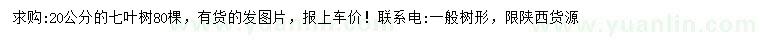 求購20公分七葉樹