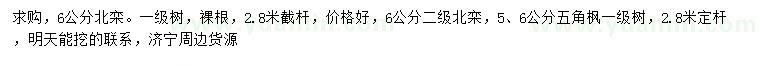 求購6公分北欒、5、6公分五角楓