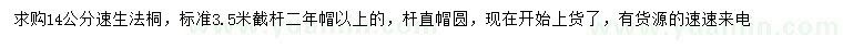 求購14公分速生法桐