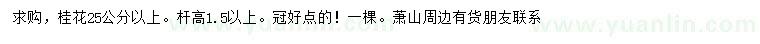 求購(gòu)25公分以上桂花