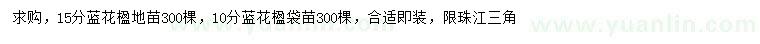 求購10、15公分藍(lán)花楹