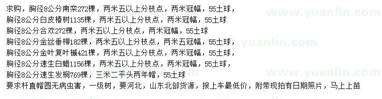 求購南欒、椿樹、合歡等