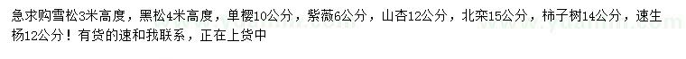 求購(gòu)雪松、黑松、單櫻等