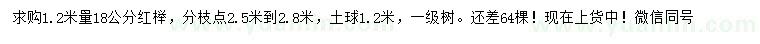 求購1.2米量18公分紅櫸