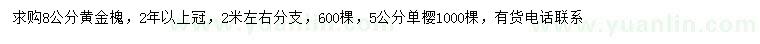 求購8公分黃金槐、5公分單櫻