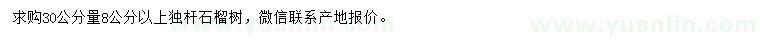 求購(gòu)30量8公分以上石榴樹