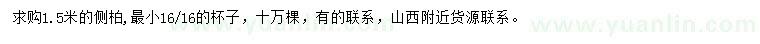求購1.5米側柏