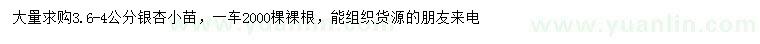 求購(gòu)3.6-4公分銀杏小苗