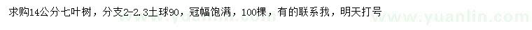 求購(gòu)14公分七葉樹(shù)