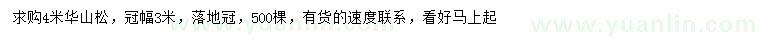 求購4米華山松