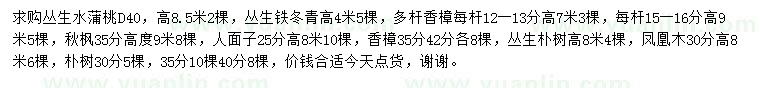 求購叢生水蒲桃、叢生鐵冬青、多桿香樟等