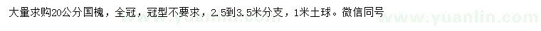 求購(gòu)20公分國(guó)槐